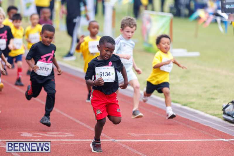 Skyport Magic Mile Event Bermuda Feb 2026 (67)