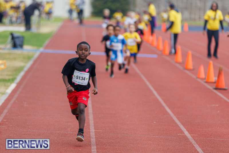 Skyport Magic Mile Event Bermuda Feb 2026 (71)
