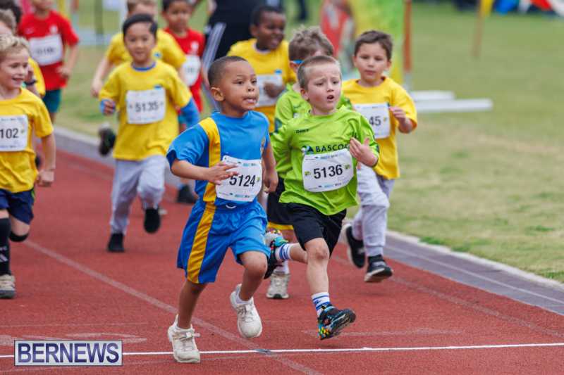 Skyport Magic Mile Event Bermuda Feb 2026 (75)