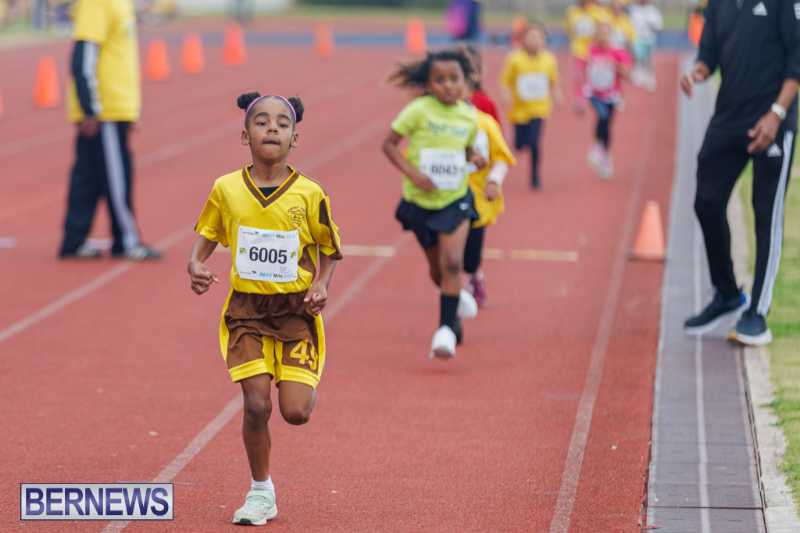 Skyport Magic Mile Event Bermuda Feb 2026 (83)