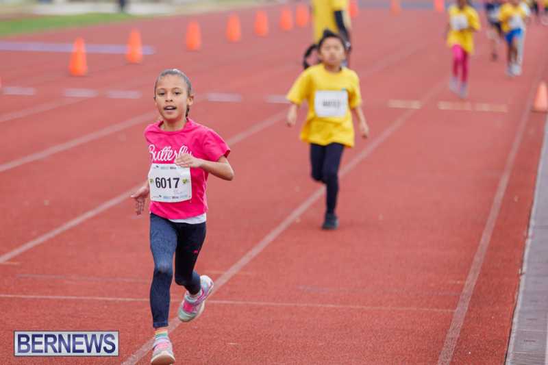 Skyport Magic Mile Event Bermuda Feb 2026 (85)