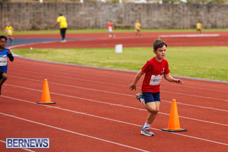 Skyport Magic Mile Event Bermuda Feb 2026 (90)