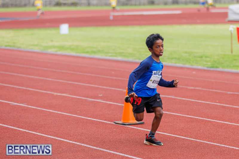 Skyport Magic Mile Event Bermuda Feb 2026 (91)