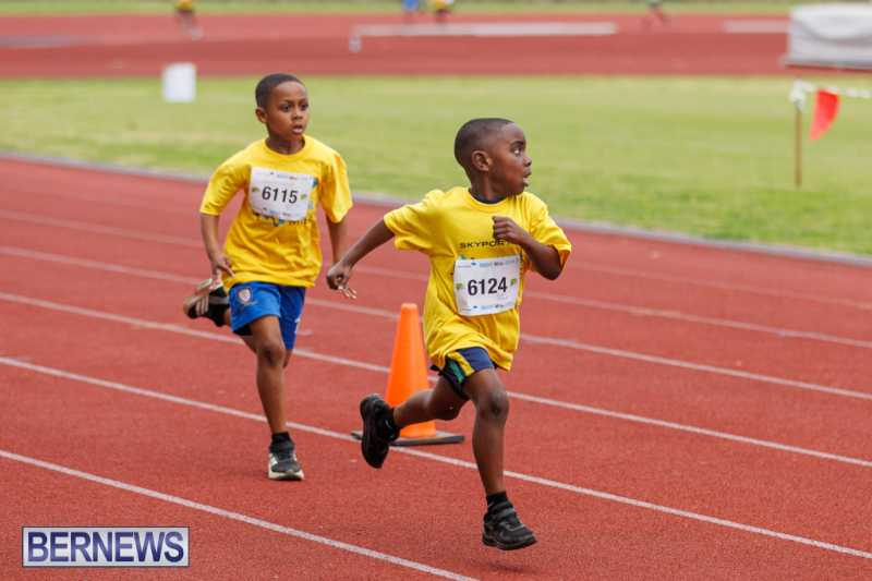 Skyport Magic Mile Event Bermuda Feb 2026 (92)