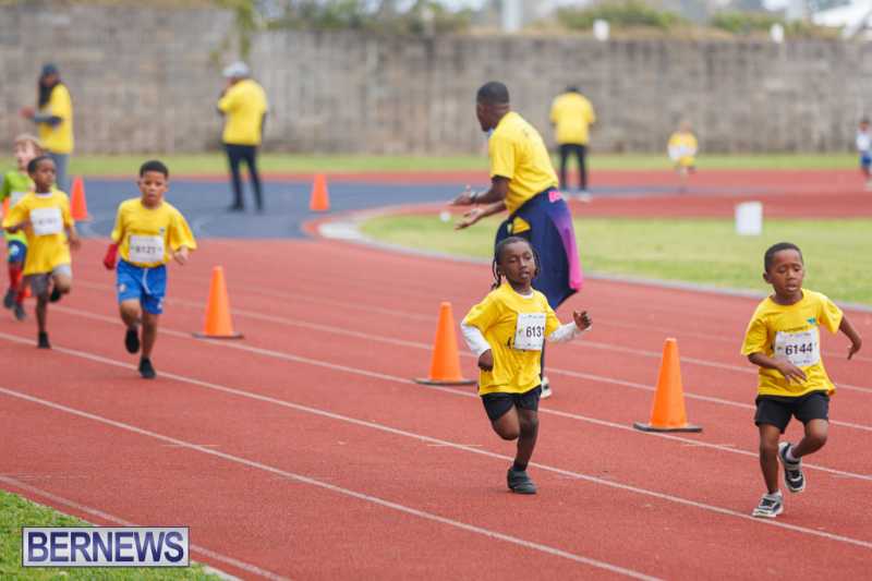 Skyport Magic Mile Event Bermuda Feb 2026 (93)