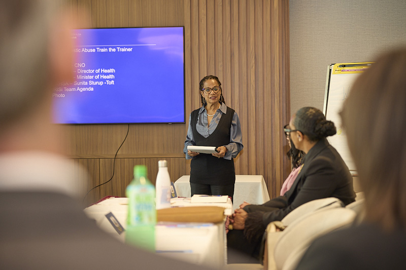 Domestic Violence Workshop Bermuda March 2026 (2)