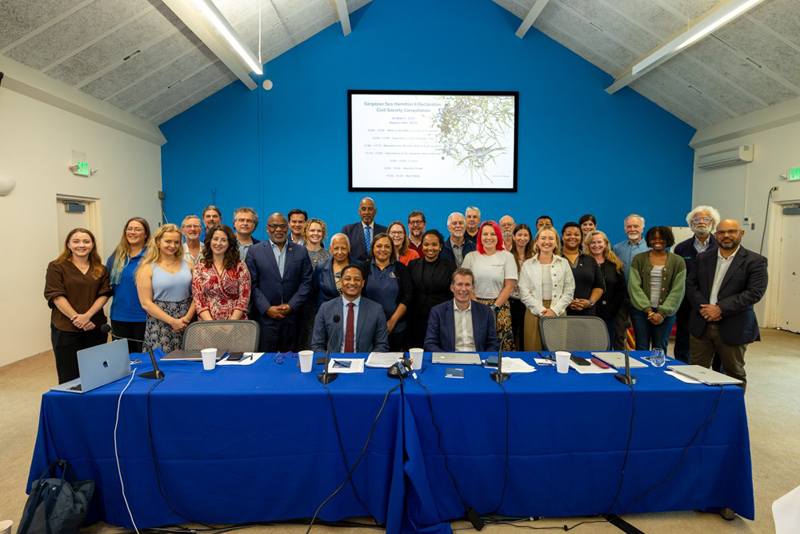 Hamilton II Declaration Bermuda March 2026