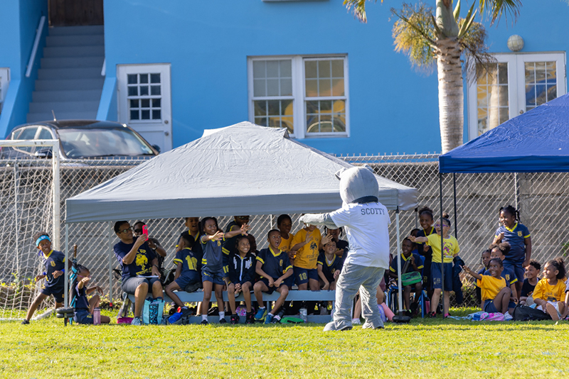 Scotty Bermuda March 25 2026 6