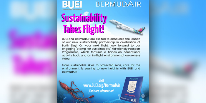 BUEI & BermudAir Sustainability Partnership