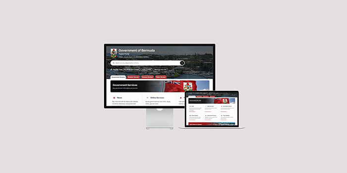 Video: Government Launches New Website