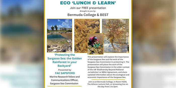Eco Lunch & Learn On The Sargasso Sea