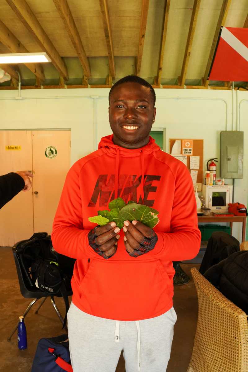 Endeavour Bermuda College Maritime Career Springboard Programme Bermuda April 2026 (3)
