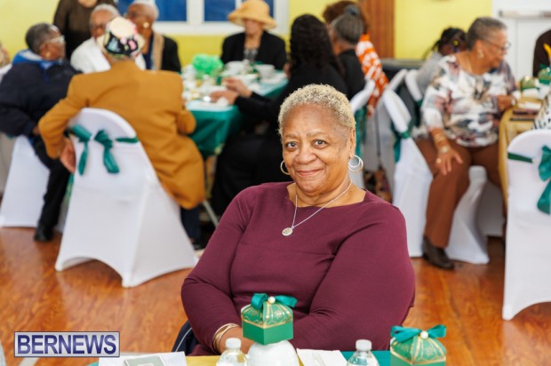 PLP Seniors Tea Bermuda April 11 2026 DF -1 (18)