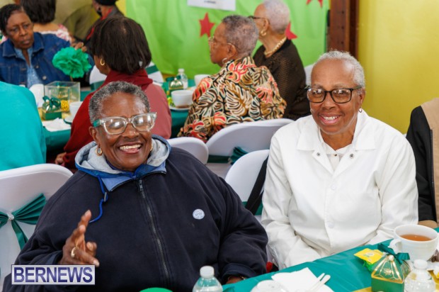 PLP Seniors Tea Bermuda April 11 2026 DF -1 (19)