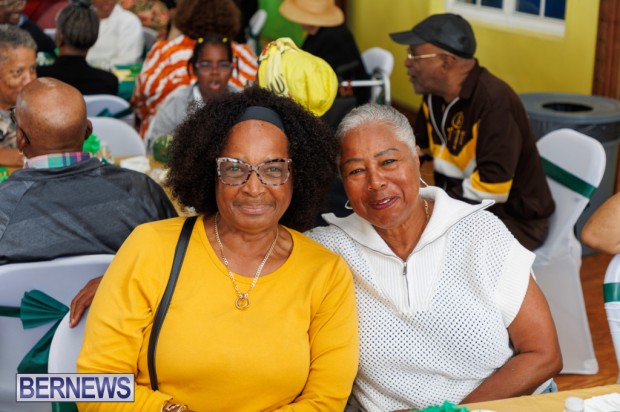 PLP Seniors Tea Bermuda April 11 2026 DF -1 (21)