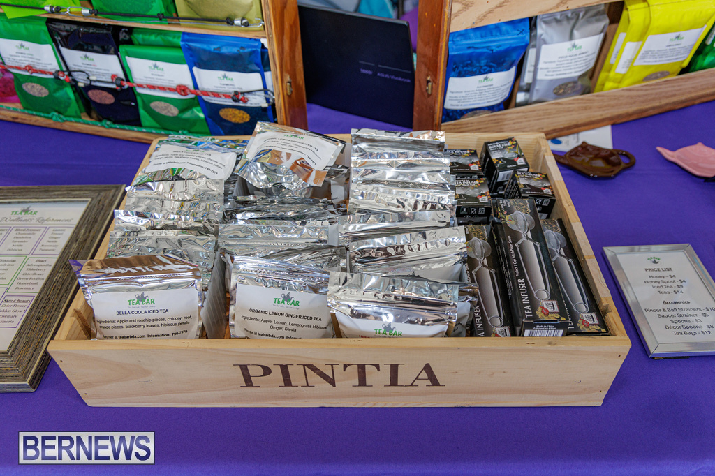 CG Wellness Festival Bermuda, May30 2026 DF-67
