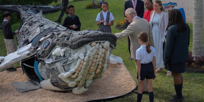 Marine Plastic Debris Transformed Into Whale Art