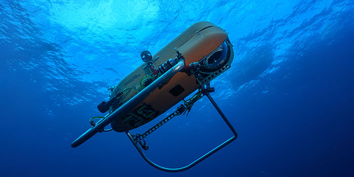 BIOS On Bermuda Waters, Research & More