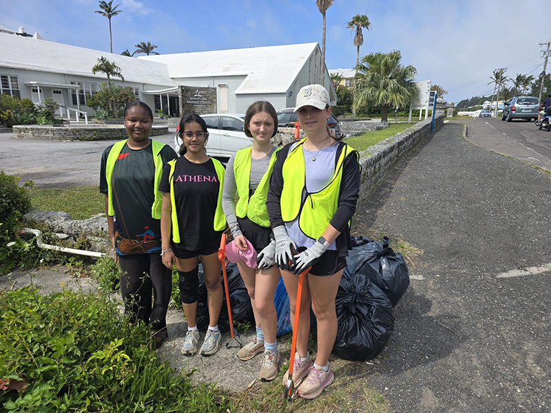 clean up Bermuda June 7 2026 2