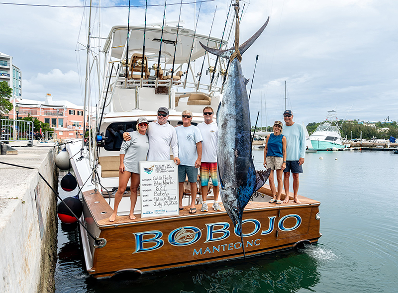 Bobojo Bermuda July 17 2026 1