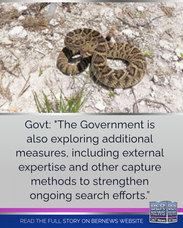 Search Ongoing After Rattlesnake Sighting