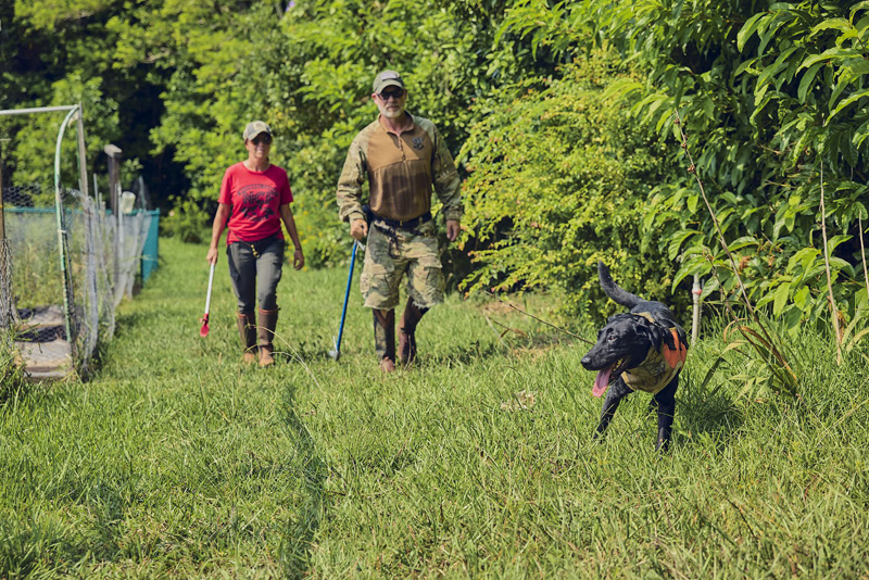 Specialist Team Rattlesnake Search Bermuda July 2026 (5)