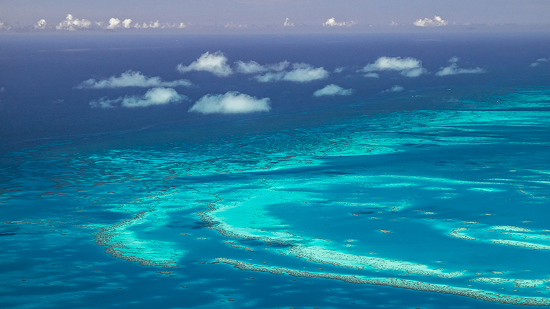 Campaign To Support Stronger Ocean Protection