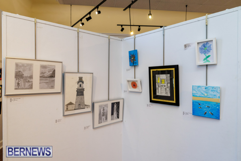MindFrame PhotoVoice Exhibition Event Bermuda Sept 2026 (17)