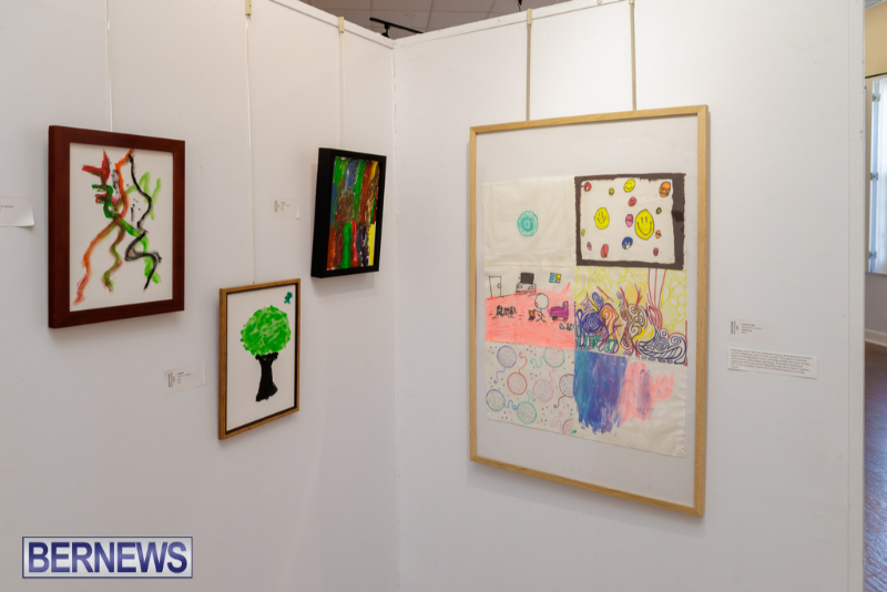 MindFrame PhotoVoice Exhibition Event Bermuda Sept 2026 (21)