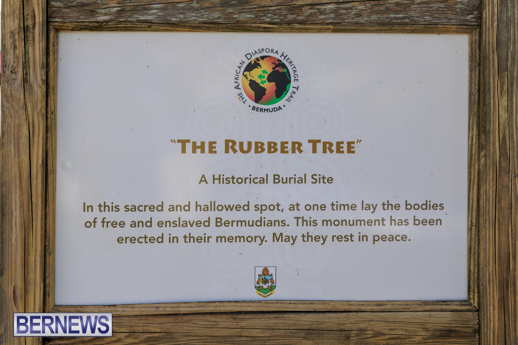 St Mary Church Bermuda Rubber Tree Memorial Sep 13 2026 DF-33 (3)