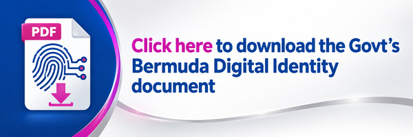 Bermuda-Digital-Identity-Option-3-600x200