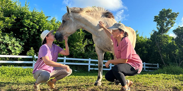 Bermuda: WindReach highlights mental health and nature-based programs