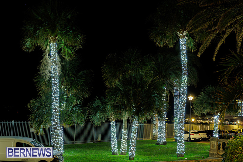 Christmas Lights (Ham) Bermuda December 2025 DF-10