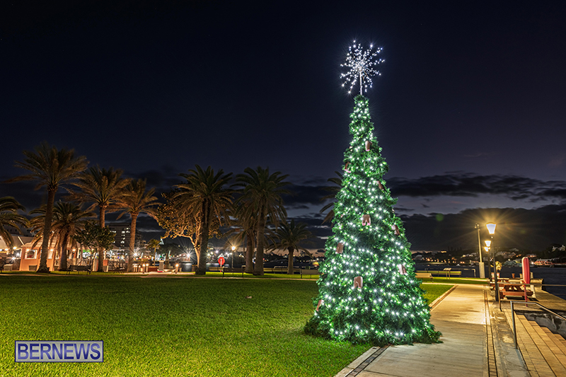 Hamilton Christmas Lights Bermuda Dec 24 2025 6